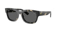 Ray - Ban RB2228M F70387