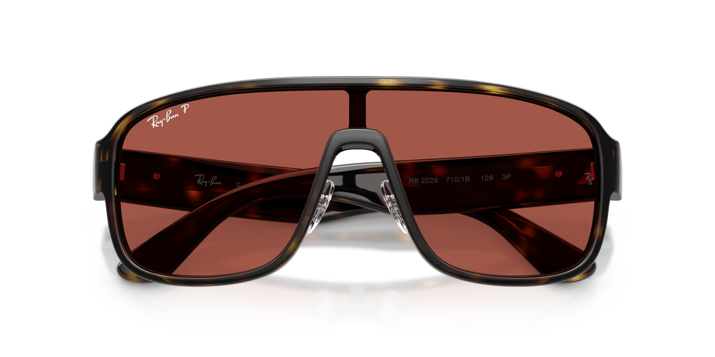 Ray - Ban RB2229 710/1B
