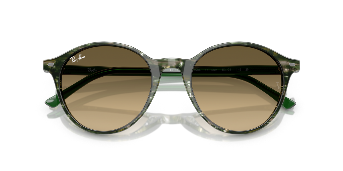 Ray - Ban RB2230 BERNARD 14210A