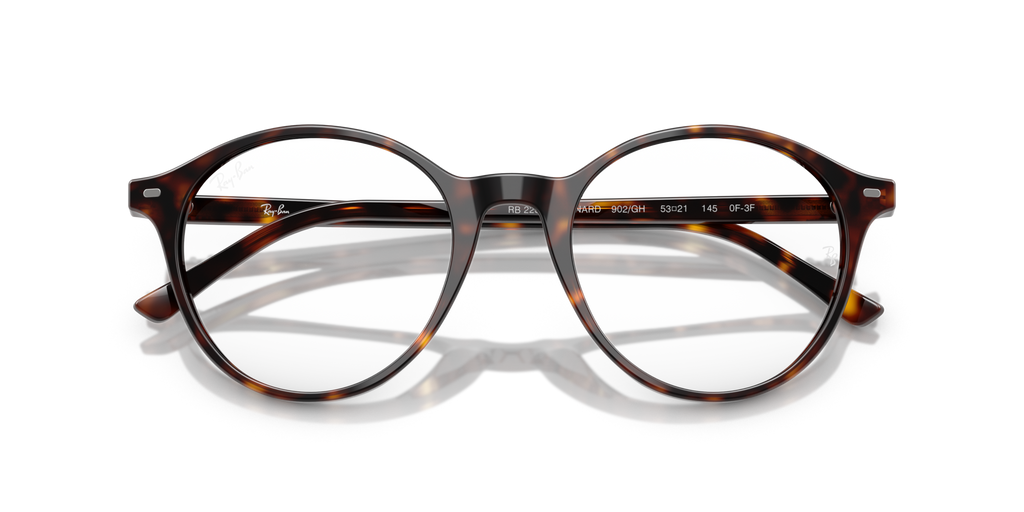 Ray - Ban RB2230 BERNARD 902/GH