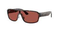 Ray - Ban RB2233 710/1B