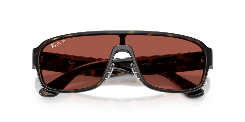 Ray - Ban RB2233 710/1B