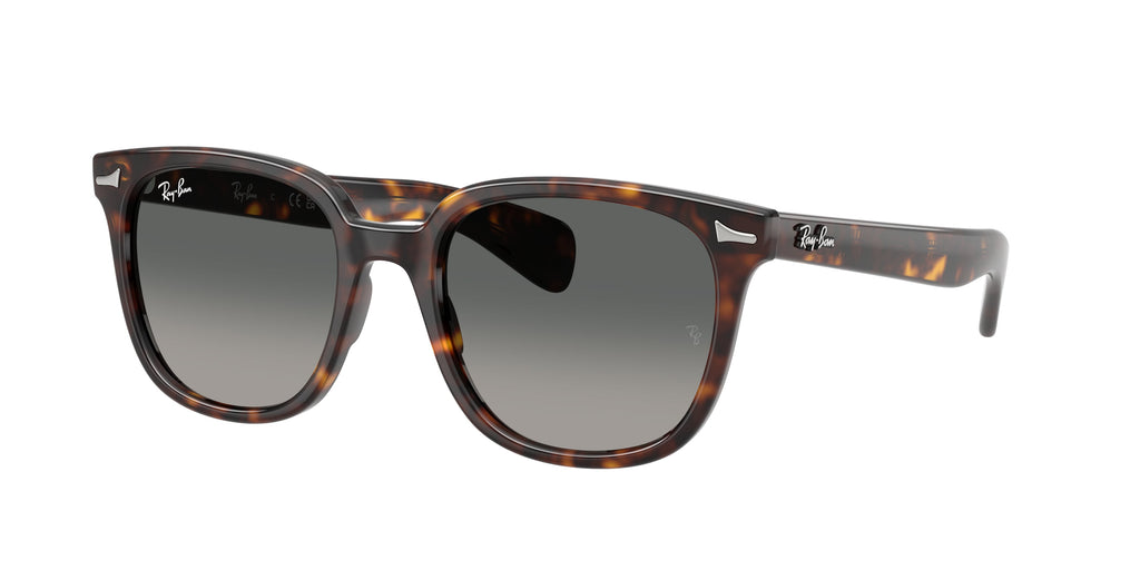 Ray - Ban RB2235 BRUNEL II 902/71