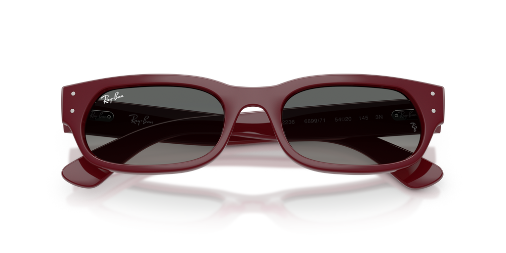 Ray - Ban RB2236 689971