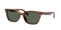 Ray - Ban RB2243D 954/71