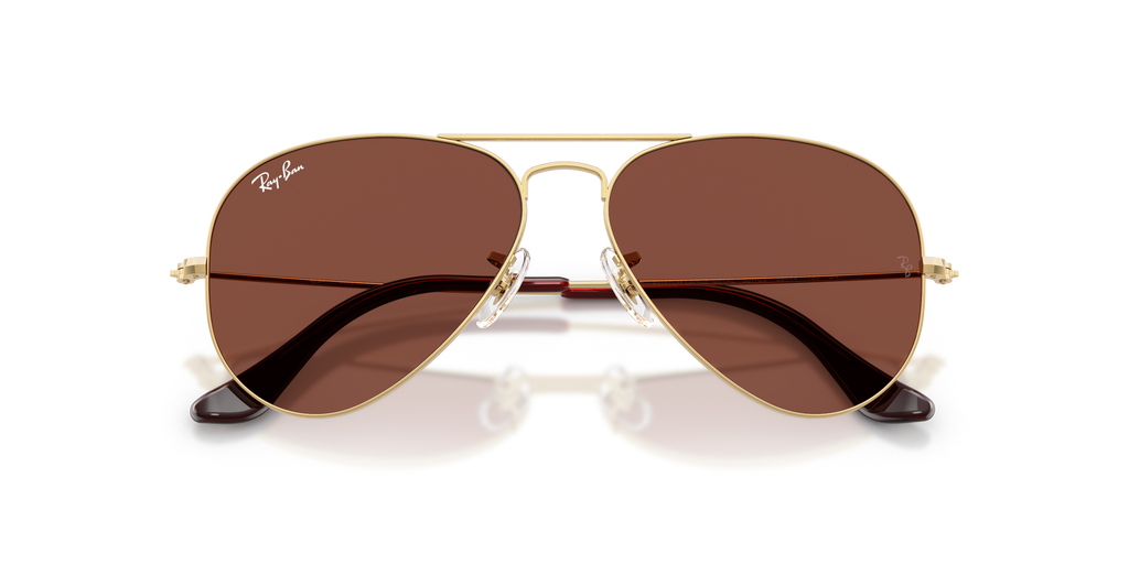 Ray - Ban RB3025 AVIATOR 001/C5