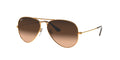 Ray - Ban RB3025 AVIATOR 9001A5