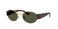 Ray - Ban RB3770 001/31
