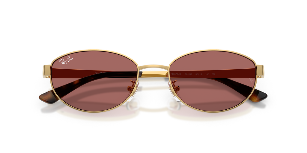 Ray - Ban RB3774D 001/69