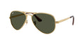 Ray - Ban RB3925 AVIATOR MAX 001/31
