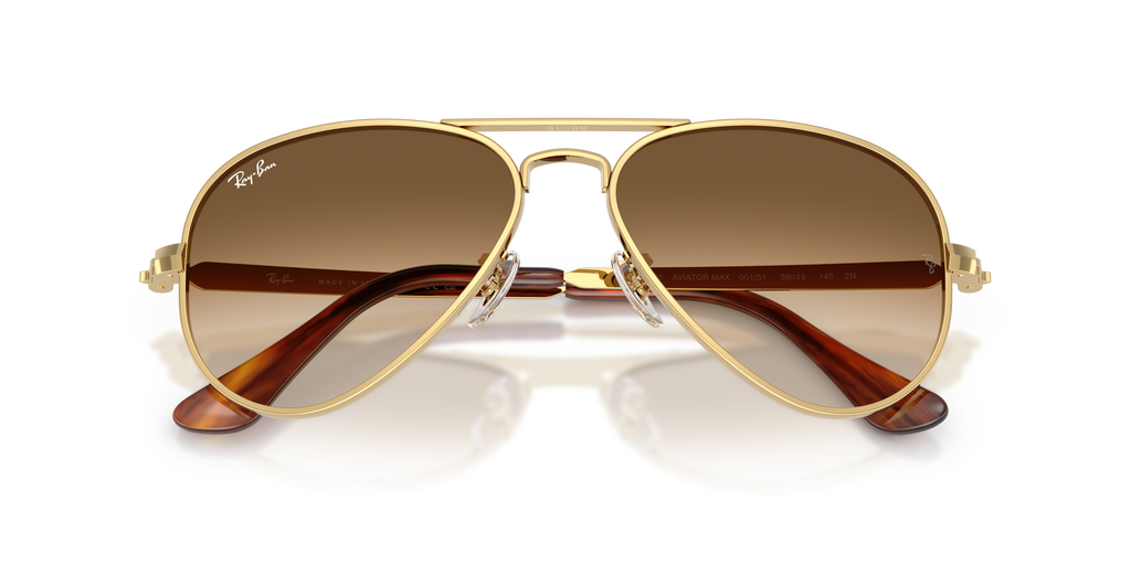 Ray - Ban RB3925 AVIATOR MAX 001/51