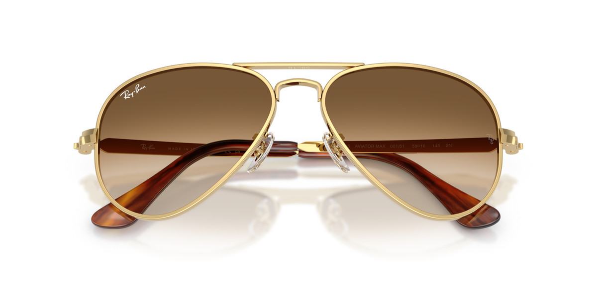 Ray - Ban RB3925 AVIATOR MAX 001/51