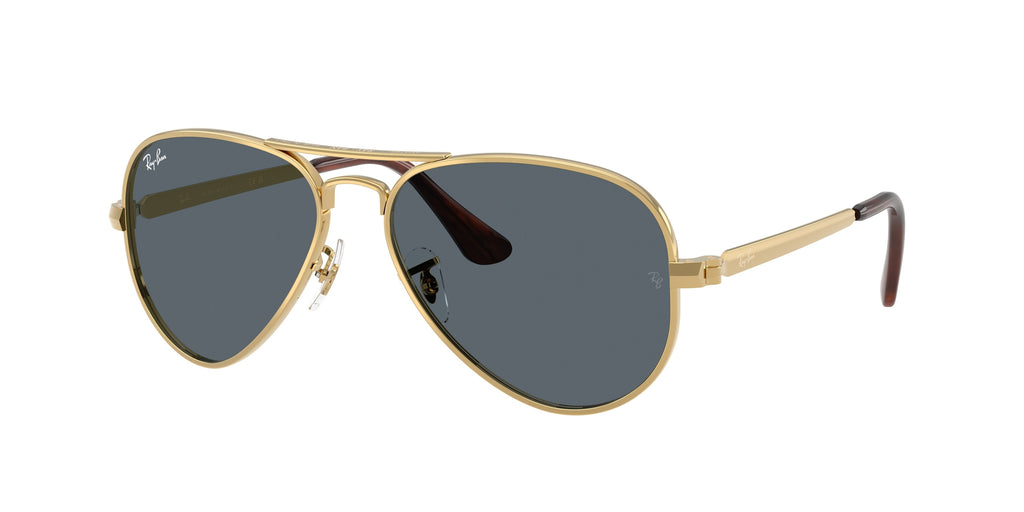Ray - Ban RB3925 AVIATOR MAX 001/R5