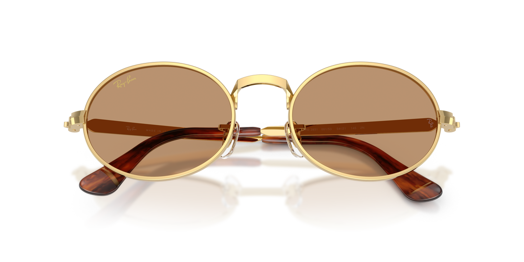 Ray - Ban A$AP Rocky RB3931 001/53
