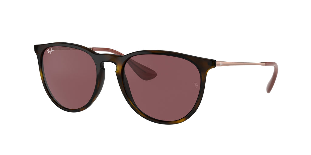 Ray - Ban RB4171 ERIKA 639175