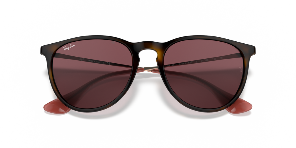 Ray - Ban RB4171 ERIKA 639175