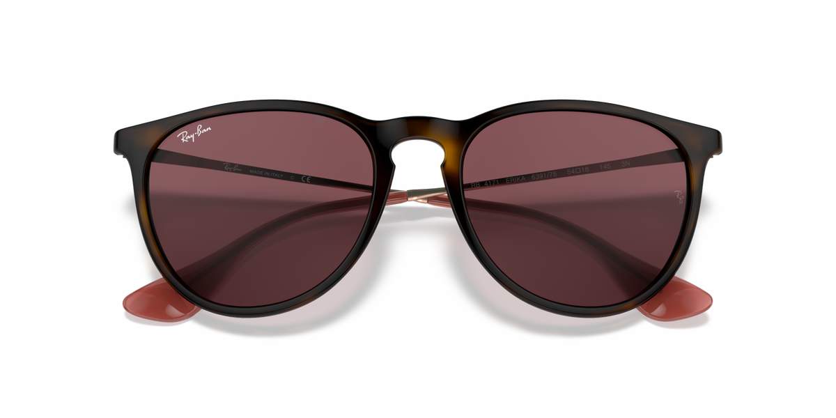 Ray - Ban RB4171 ERIKA 639175
