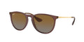 Ray - Ban RB4171 ERIKA 6593T5