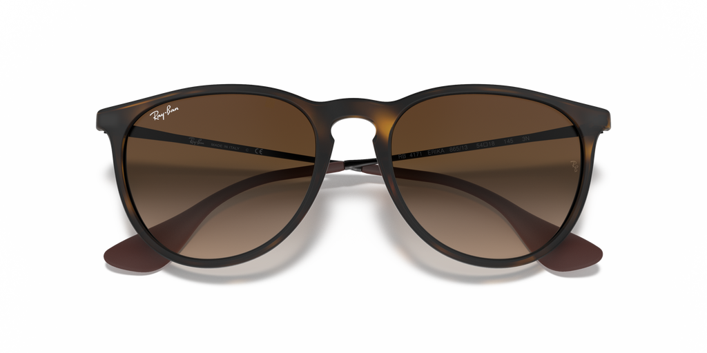 Ray - Ban RB4171 ERIKA 865/13
