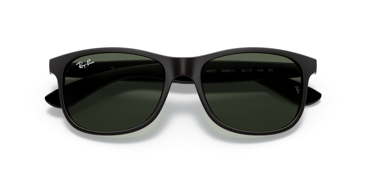 Ray - Ban RB4202 ANDY 606971