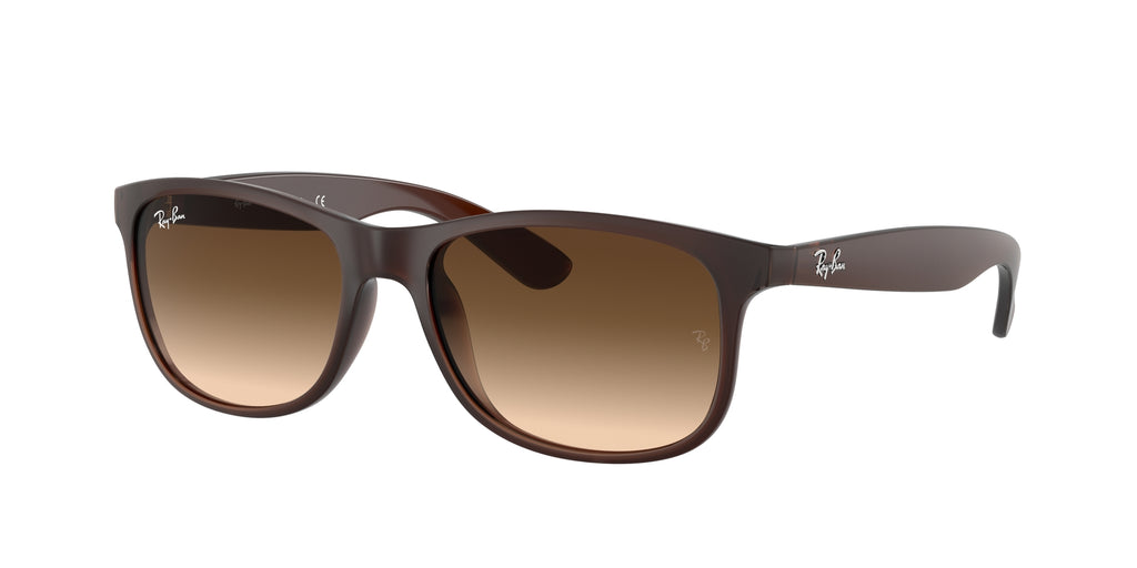 Ray - Ban RB4202 ANDY 607313
