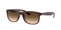 Ray - Ban RB4202 ANDY 607313