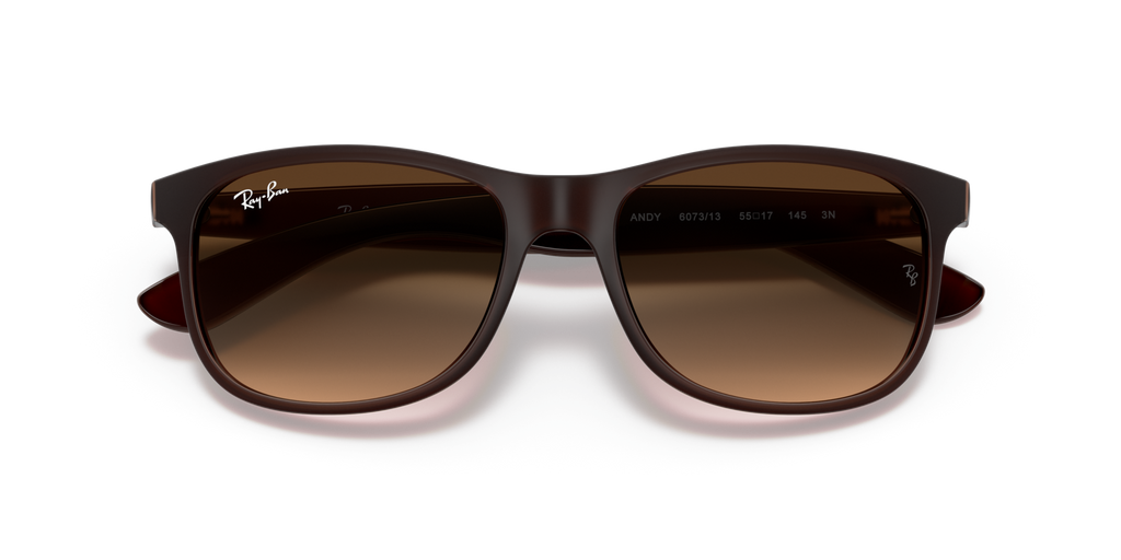 Ray - Ban RB4202 ANDY 607313