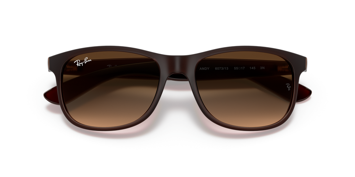 Ray - Ban RB4202 ANDY 607313
