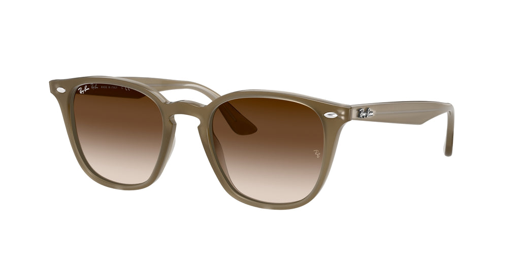 Ray - Ban RB4258F 616613