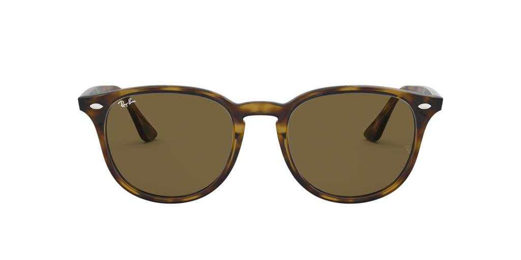 Ray - Ban RB4259F 710/73