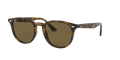 Ray - Ban RB4259F 710/73
