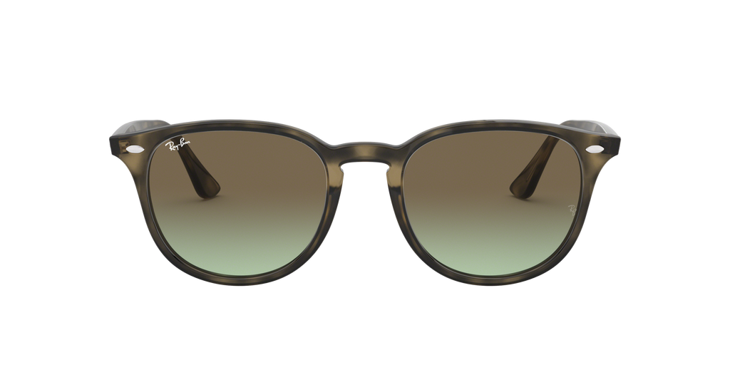 Ray - Ban RB4259 731/E8