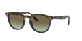 Ray - Ban RB4259 731/E8