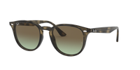 Ray - Ban RB4259 731/E8