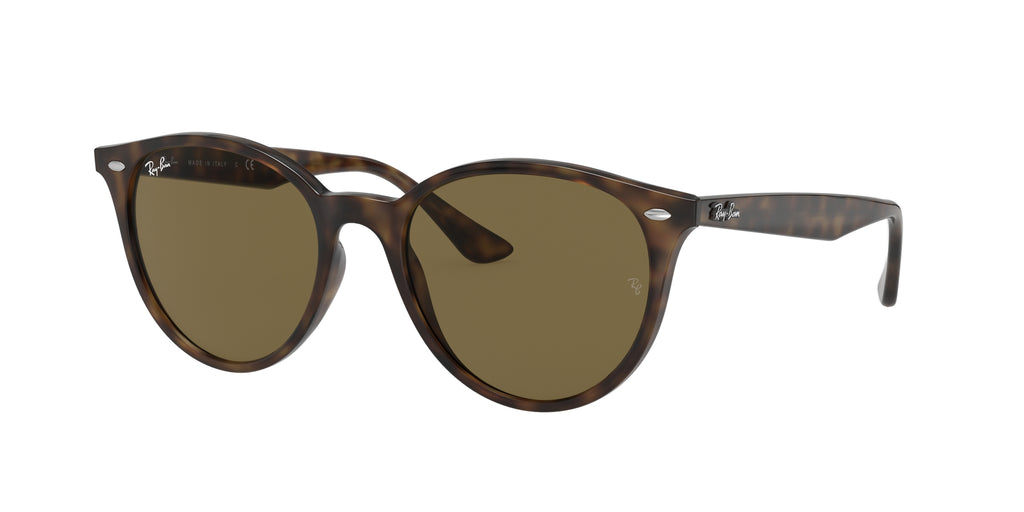 Ray - Ban RB4305 710/73