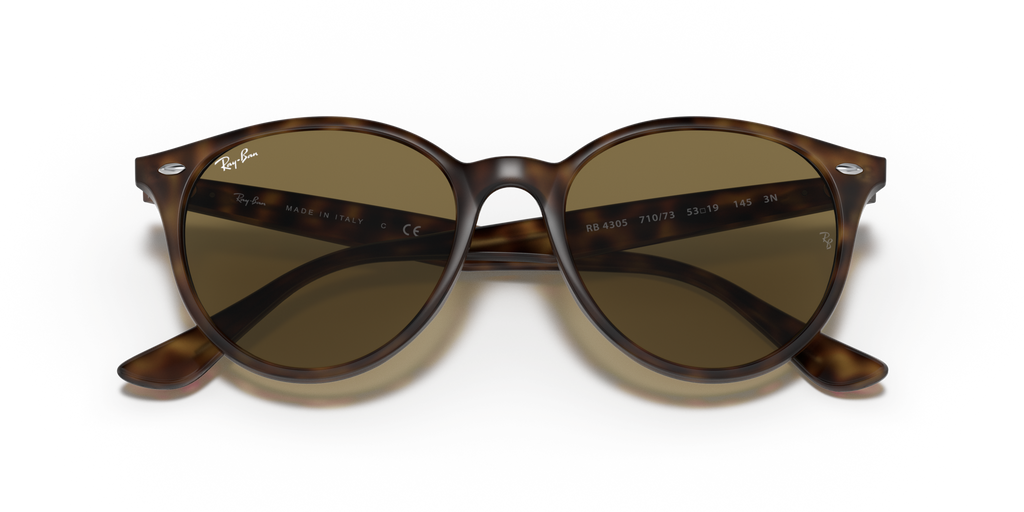 Ray - Ban RB4305 710/73