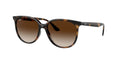 Ray - Ban RB4378 710/13