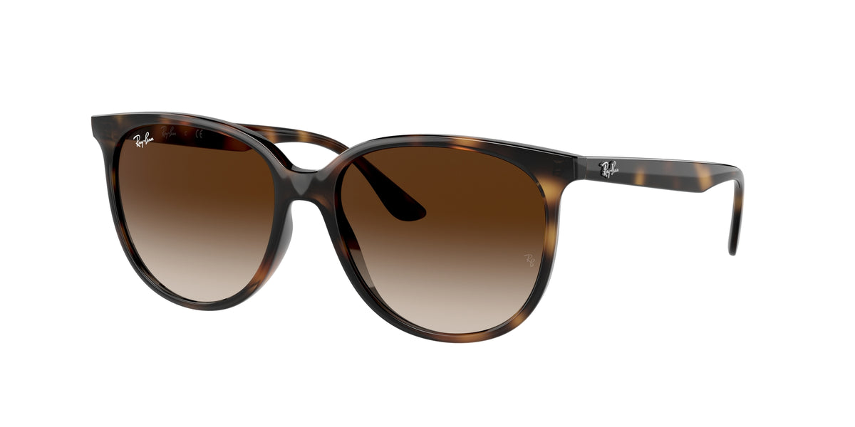 Ray - Ban RB4378 710/13