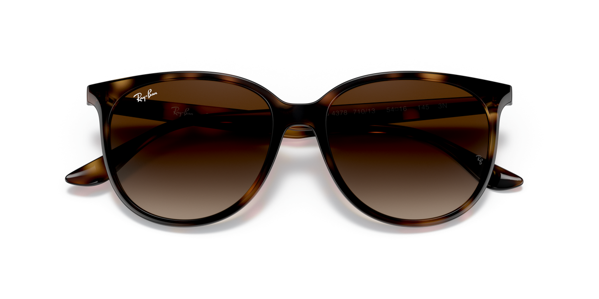 Ray - Ban RB4378 710/13