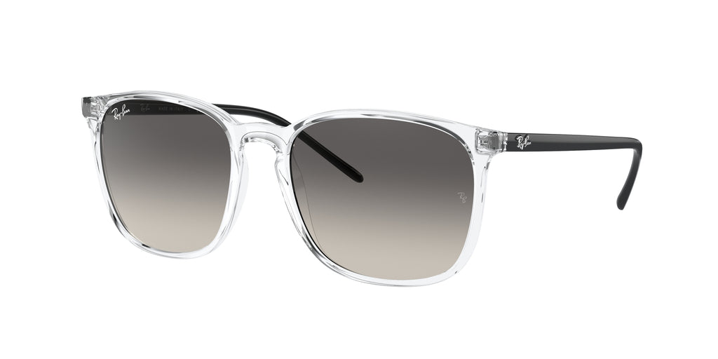 Ray - Ban RB4387 647711