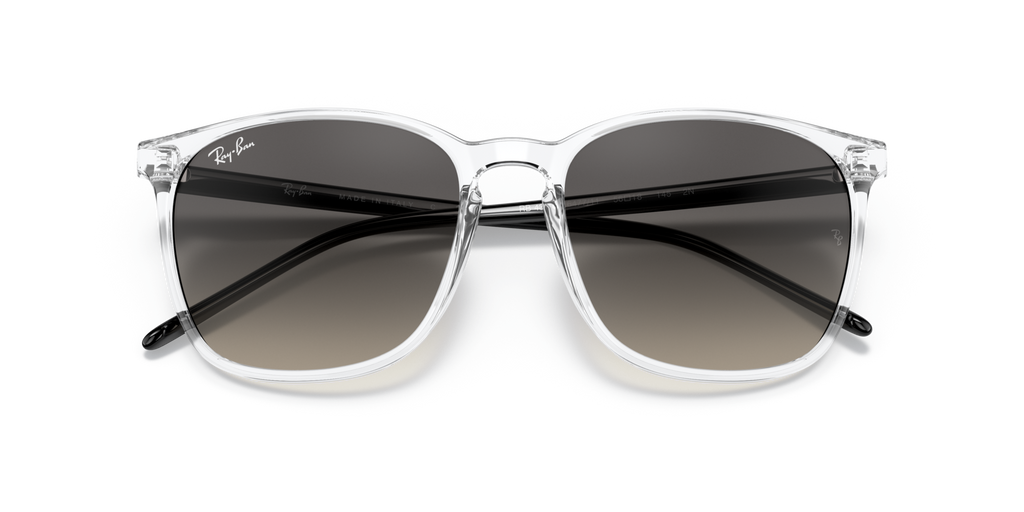 Ray - Ban RB4387 647711