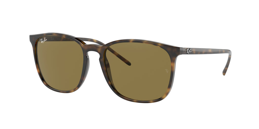 Ray - Ban RB4387 710/73