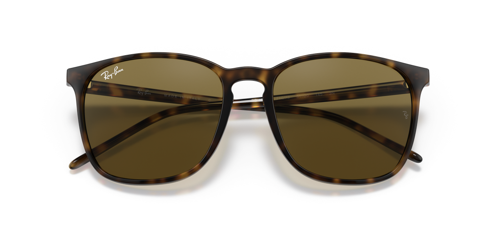 Ray - Ban RB4387 710/73