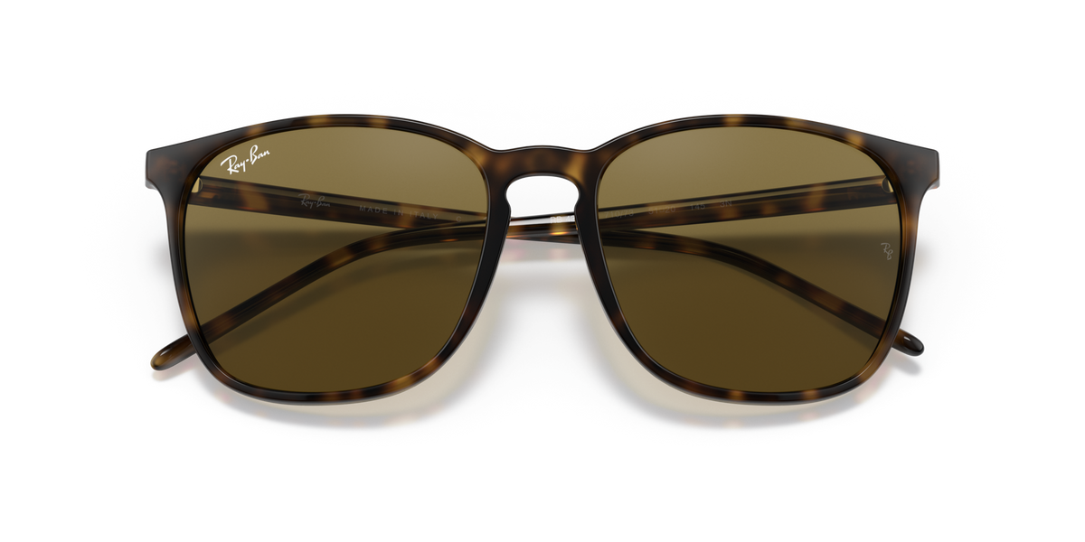 Ray - Ban RB4387 710/73