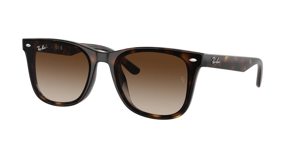 Ray - Ban RB4420 710/13