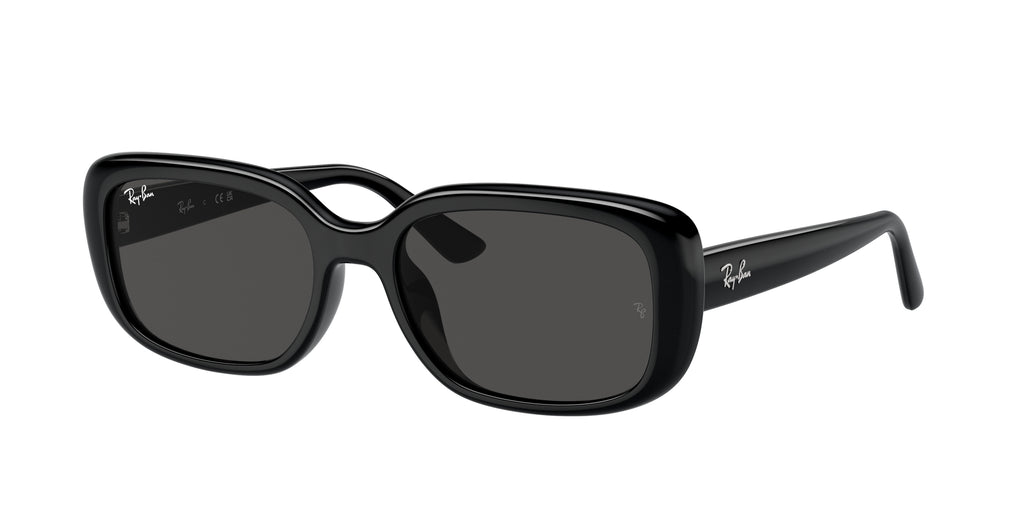 Ray - Ban RB4421D 667787