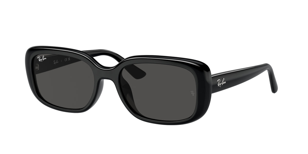 Ray - Ban RB4421D 667787