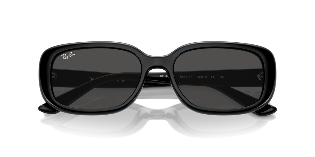 Ray - Ban RB4421D 667787