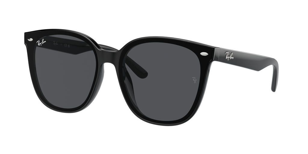 Ray - Ban RB4423D 601/87