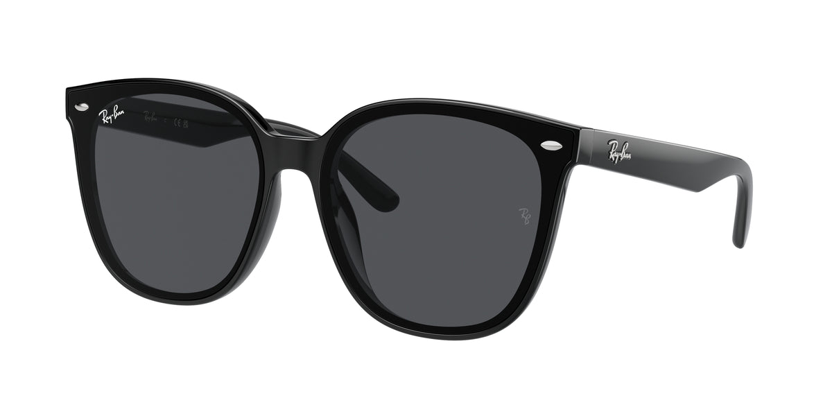 Ray - Ban RB4423D 601/87